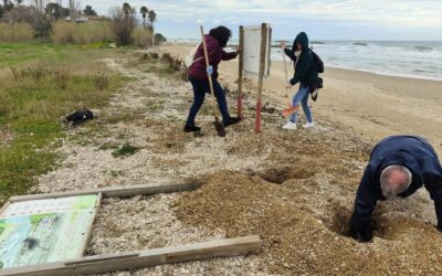 Progetti di manutenzione sentieristica