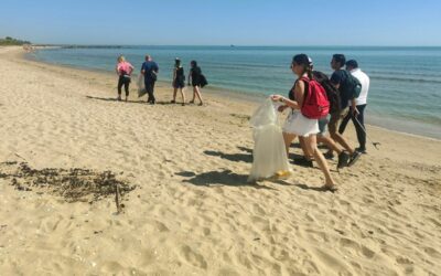 Bonifica periodica di sentieri e spiaggia dai rifiuti