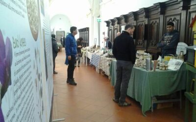 ORGANIZZAZIONE DI EVENTI A TEMA E MERCATI ANIMATI